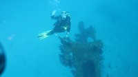 mars15.jpg